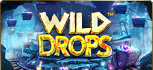 Machine à sous Wild Drops